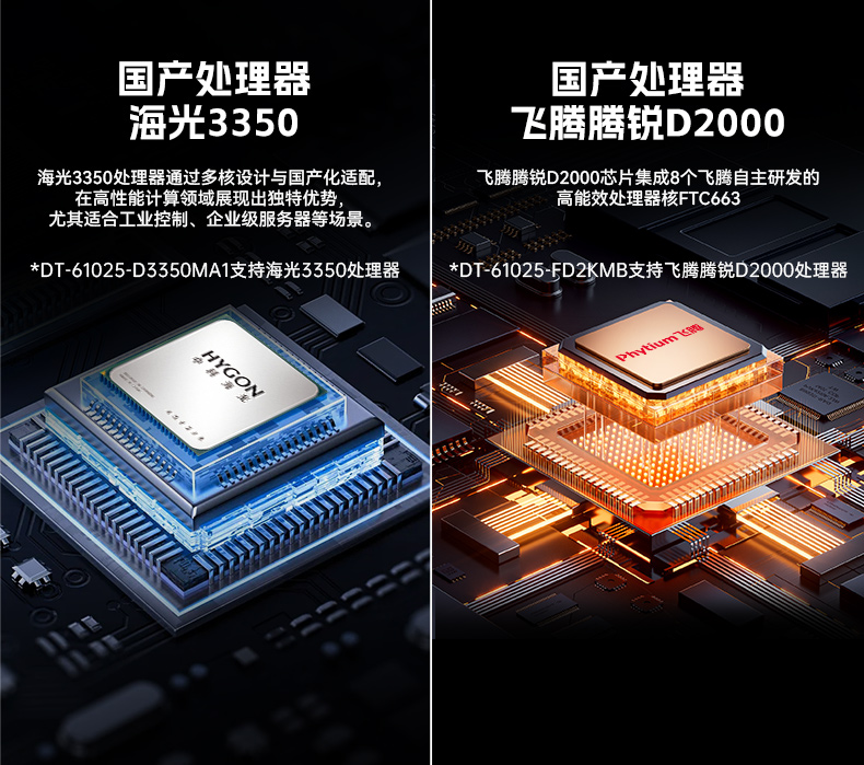 星亿国产2U工控机,双路海光工业服务器,DT-61025-D3350MA.jpg