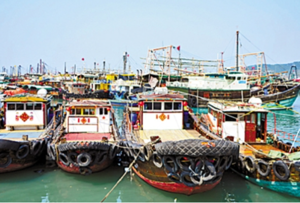 渔港环境.png 渔港环境.png