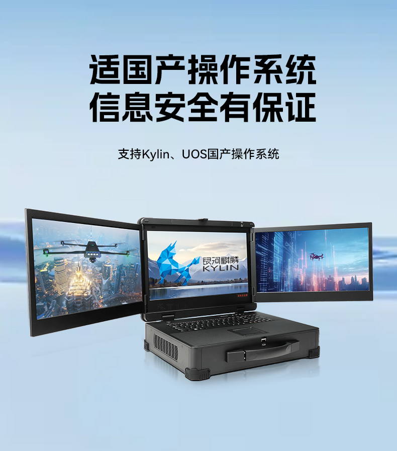 17.3寸三屏便携加固机,飞腾D2000信创一体机,DTG-3173CU-BD2KMC.jpg
